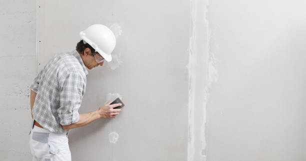  Wolcottville, IN Mold Removal Pros