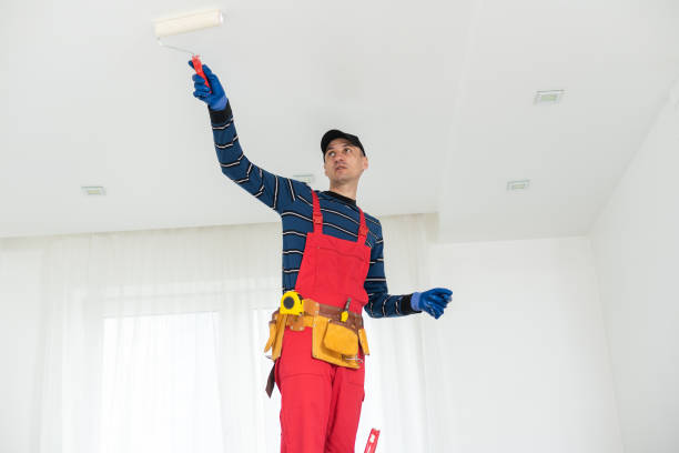 Best Mold Documentation for Insurance Claims  in Wolcottville, IN
