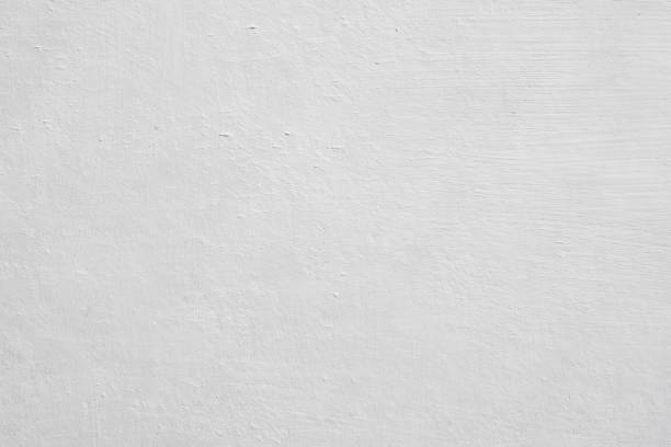 Best Basement Mold Removal  in Wolcottville, IN