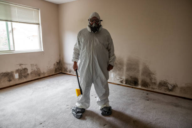 Best Residential Mold Inspection & Testing  in Wolcottville, IN