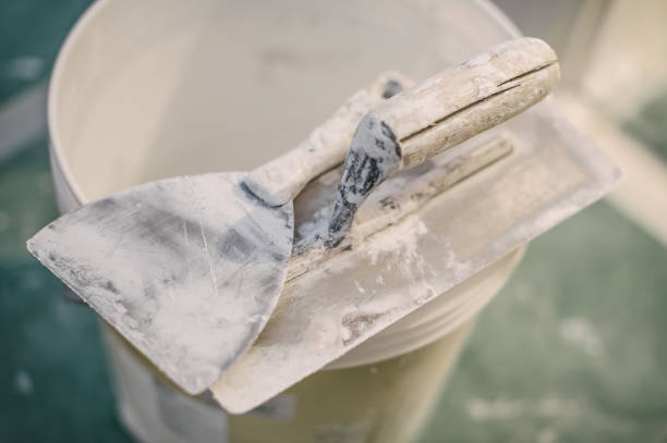 Best Post-Construction Mold Inspection  in Wolcottville, IN